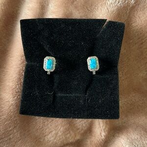 Rhodium Plated Huggie Hoop Earrings